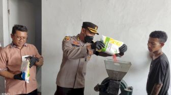 Ribuan Kilogram Bibit Jagung Hibrida Palsu Merek Syngenta  Dimusnahkan