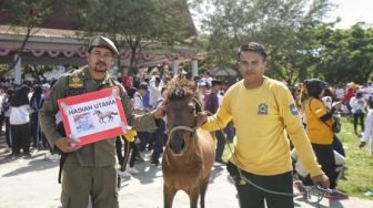 Anggota Satpol PP Dapat Hadiah Kuda di Jalan Santai Sulsel Anti Mager