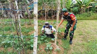 Babinsa Sarolangun Bantu Petani Rawat Sayuran