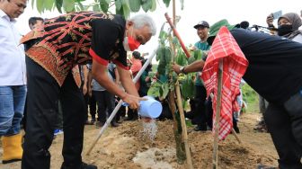 Antisipasi Bencana Jangka Panjang, Ganjar Pranowo Gencarkan Tanam Pohon di Lahan Kritis