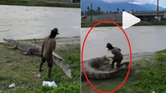 Menantang Maut! Pria ini Hampir Dicaplok Buaya Besar yang Terdampar di Bibir Sungai