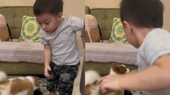 Bikin Gemas! 5 Momen Baby Air Anak Irish Bella Nangis Diganggu Anjing