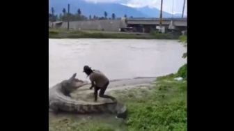 Nyaris Diterkam Gegara Nekat Ganggu Buaya Berukuran Besar, Aksi Pria Ini Justru Tuai Komentar Kocak