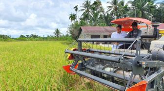 11 Pangan Pokok Tertentu Diatur Pemerintah Sesuai Perpres Nomor 125 Tahun 2022