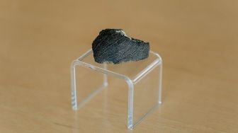 Meteorit Mars Mengandung Racun, Sebabkan Muntah ke Manusia dan Babi