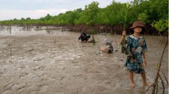 Ekowisata Mangrove Pamekasan, Berwisata Sambil Belajar
