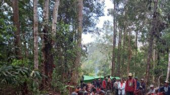 Sudah Ritual Adat Hingga Sholat Ghaib, Alwi Tak Kunjung Ditemukan Saat Hilang di Hutan Perbatasan RI-Malaysia