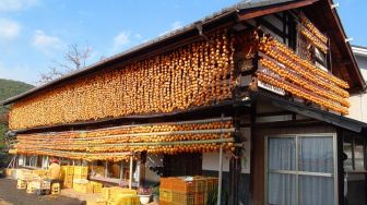 Mengenal Buah Kaki: Kesemek Jepang yang Jadi Makanan Khas Musim Gugur