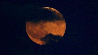 Ada Gerhana Bulan Total 8 November, Bisa Dilihat di Wilayah Kepri?