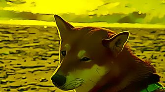 Investasi Dogecoin: Modal US$1000 Tahun 2015, Sekarang Jadi Berapa?