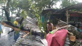 Hujan Angin Sebabkan Pohon-pohon Bertumbangan di Magetan