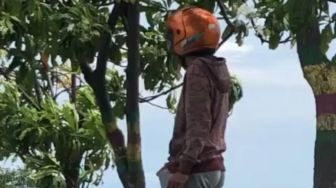 Pria Cabul Gentayangan di Coastal Area Karimun