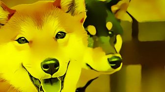 3 Crypto Apik November, Layak Dihindari atau Dilirik?