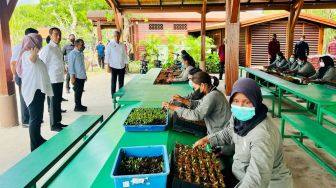 Presiden Joko Widodo atau Jokowi melakukan peninjauan ke Taman Hutan Raya (Tahura) Ngurah Rai pada Selasa (8/11/2022). Tahura Ngurah Rai merupakan salah satu tempat yang akan dikunjungi oleh para pemimpin dunia pada KTT G20 2022. [Foto: Laily Rachev - Biro Pers Sekretariat Presiden]