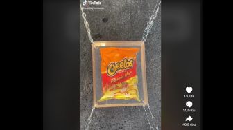 Kelewat Kreatif, Seniman Habiskan Rp19 Juta untuk Bangun Makam Berisi Bungkus Snack Cheetos
