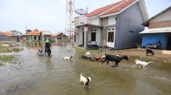 Warga menerobos genangan banjir rob atau air laut pasang merendam Desa Eretan Wetan, Kandanghaur, Indramayu, Jawa Barat, Rabu (9/11/2022). [ANTARA FOTO/Dedhez Anggara/YU]