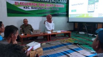 Tingkatkan Produktivitas Cabai, Polbangtan Malang Gelar Sekolah Lapang