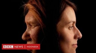 Neanderthal Musnah karena Perang atau Kawin Silang dengan Homo Sapiens?