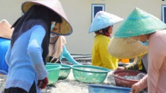 Perempuan Nelayan di Pesisir Bandar Lampung Belum Diakui Pemerintah