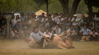 Seorang Gaucho terjatuh dari kudanya di sebuah pertunjukkan rodeo selama "Hari Tradisi Gaucho ke-83" di San Antonio de Areco, Argentina, Sabtu (12/11/2022). [Luis ROBAYO / AFP]