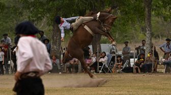 Melihat Kepiawaian Para Koboi Argentina Menaklukkan Kuda di Tradisi Gaucho