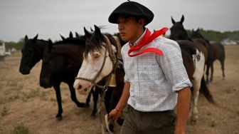 Seorang Gaucho mempresiapkan kudanya untuk pertunjukkan rodeo selama "Hari Tradisi Gaucho ke-83" di San Antonio de Areco, Argentina, Sabtu (12/11/2022). [Luis ROBAYO / AFP]
