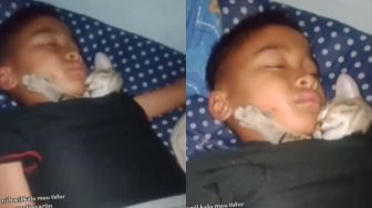 Sayang Banget dengan Peliharaan, Bocah Ini Tidur Menyatu dengan Kucing