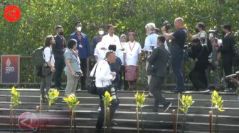 Hari Kedua KTTG20, Jokowi Bareng Para Pemimpin G20 Tanam Mangrove