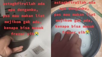 Cewek Ini Niat Masak Nasi di Magic Com, Malah Dimasukin Freezer hingga Beku