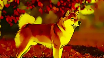 Bikin Penasaran, Segini Nilai Shiba Inu di Crypto.com