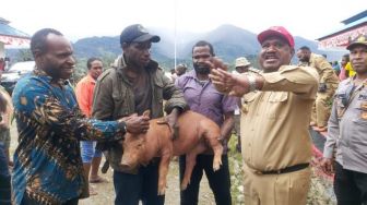 Gunakan Dana Otsus, Pemkab Puncak Wujudkan Ketahanan Pangan Lokal
