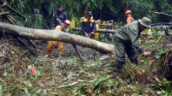 Sejumlah petugas Badan Penanggulangan Bencana Daerah (BPBD) Banten menyingkirkan material longsor di Kampung Cikoak, Cilowong, Serang, Banten, Kamis (17/11/2022). [ANTARA FOTO/Asep Fathulrahman/hp].