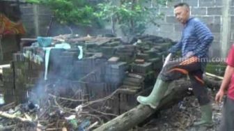 Ustazah Meninggal Tertimpa Pohon di Jalan, Muridnya Luka Parah di Jombang