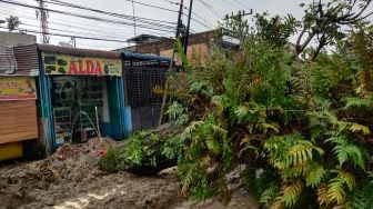 Akses Jalan di Padang Barat Sempat Terputus Akibat Pohon Tumbang, Ini Imbauan BPBD