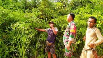 Babinsa Aktif Melaksanakan Patroli Karhutlah