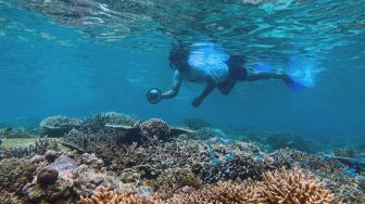 Panorama bawah laut di Pantai Balanan, Taman Nasional Baluran, Situbondo, Jawa Timur, Kamis (17/11/2022). ANTARA FOTO/Budi Candra Setya
