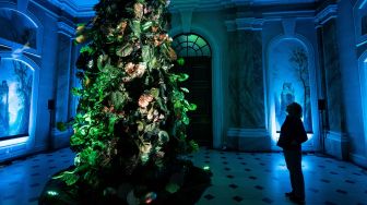 Seorang anggota staf mengagumn pajangan Natal di Castle Howard, Malton, Inggris, Jumat (11/11/2022). [OLI SCARFF/AFP]