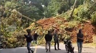 Satu Jalan Nasional di Cianjur Terputus Gara-gara Pohon Tumbang Akibat Diguncang Gempa