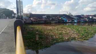 ‘Pulau’ Sampah dan Eceng Gondok di Bawah Jembatan Pasar Lama Banjarmasin