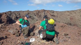 Astronot Jerman Alexander Gerst (kiri) mengumpulkan sampel di puncak gunung berapi purba selama program pelatihan untuk mempelajari cara menjelajahi Bulan dan Mars di Taman Nasional Timanfaya Pulau Lanzarote, Kepulauan Canary, Spanyol, Selasa (10/11/2022). [DESIREE MARTIN / AFP]