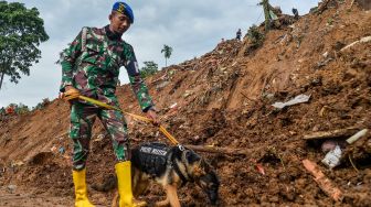 Update Korban Gempa Cianjur: 318 Orang meninggal, 14 Orang Masih Belum Ditemukan