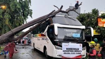 Akibat Hujan Deras, Pohon Tumbang Timpa Bus Relawan Jokowi di Bekasi