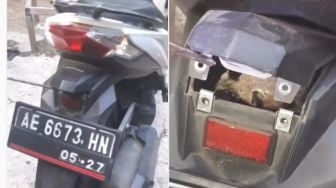 Warganet Ini Temukan Bangkai Tikus di Dalam Motornya, Kok Bisa?