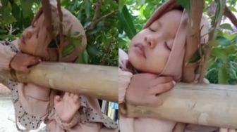 Bocah Perempuan Ini Ketiduran di Atas Pohon, Warganet: Wes Angel