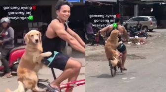 Main Sepeda Bareng, Anjing Ini Tenang Dibonceng Pemiliknya di Belakang