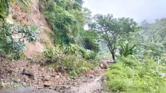 Jalur Panyabungan-Natal Tertimbun Longsor, Pengendara Tak Bisa Melintas