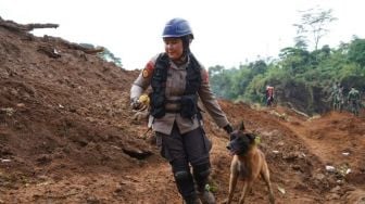Bawa Anjing Pelacak, Polwan K9 Dari Polda Jabar Cari Korban Gempa Cianjur