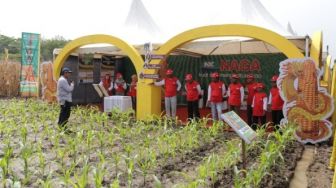 Syngenta Resmikan Fasilitas Benih Jagung dan Luncurkan Official Store e-Commerce