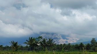 Awan panas guguran (APG) Gunung Semeru terlihat dari Desa Sumberwuluh, Candipuro, Lumajang, Jawa Timur, Minggu (4/12/2022).  [ANTARA FOTO/Samsul Arifin/sen/YU]
