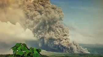 Gunung Semeru Erupsi, Aktivitas di Radius 5 Km Dihentikan Sementara